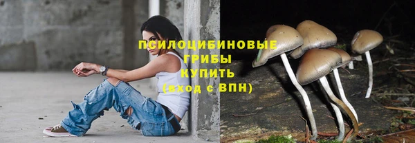 стаф Каменногорск