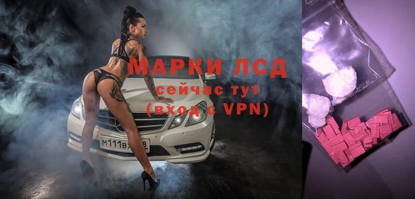 гидра Каменка