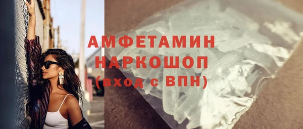 гидра Каменка