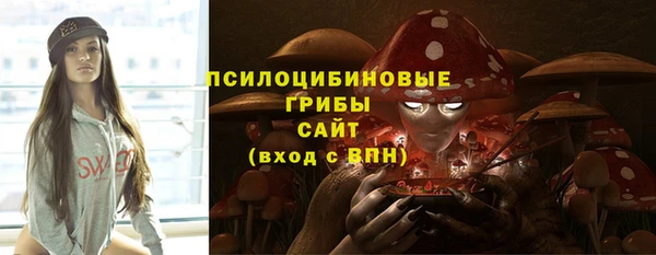 гидра Каменка