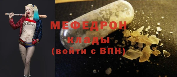 гидра Каменка