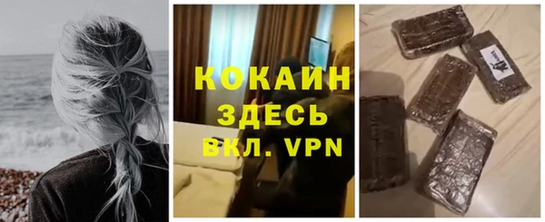 стаф Каменногорск
