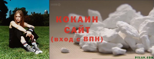 гидра Каменка
