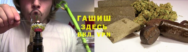 гидра Каменка