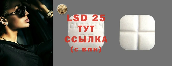 стаф Каменногорск