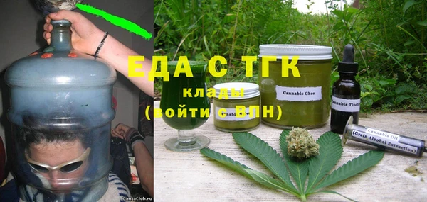 гидра Каменка