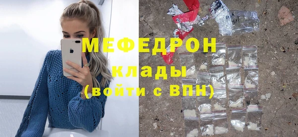 гидра Каменка