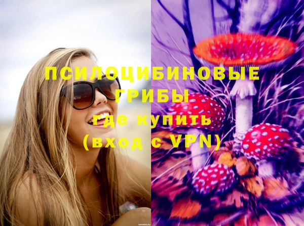 стаф Каменногорск