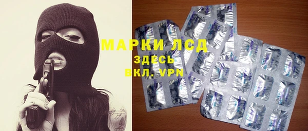 стаф Каменногорск
