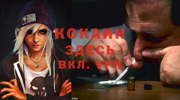 стаф Каменногорск