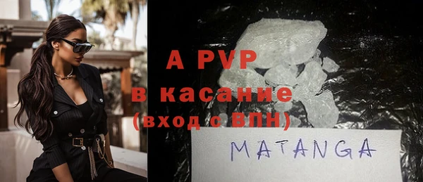 стаф Каменногорск