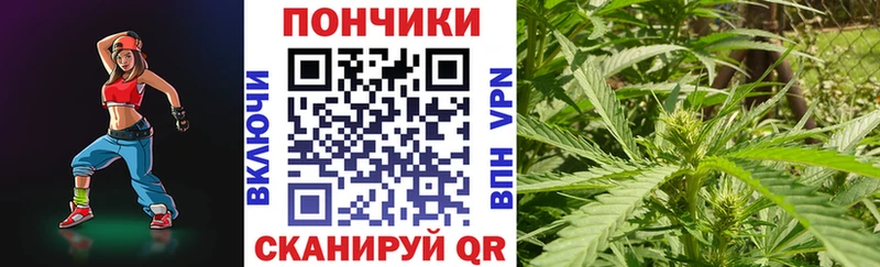 Каннабис конопля  Купить где  Кизилюрт 